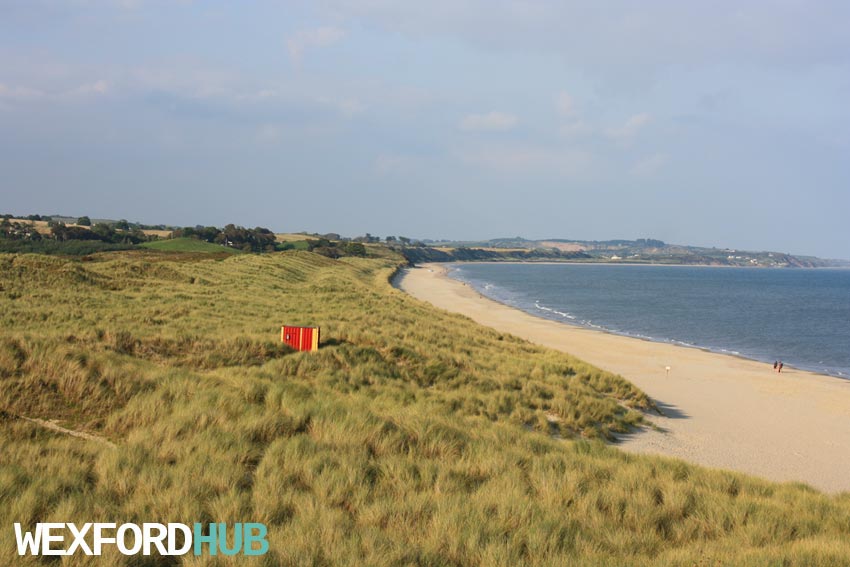curracloe beach white gap