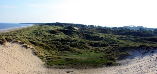 Curracloe Sand Dune