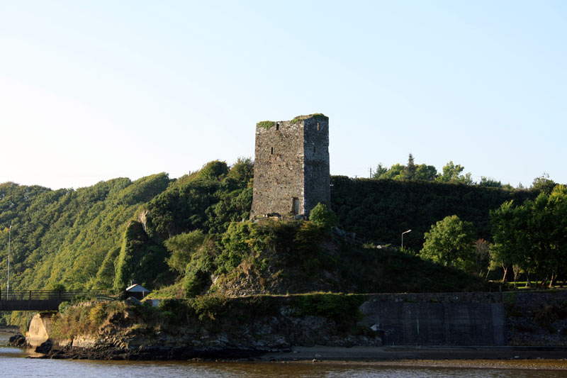ferrycarrig castle, wexford