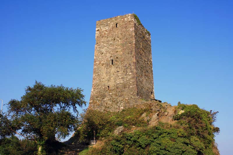 ferrycarrig tower