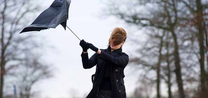 Windy Weather