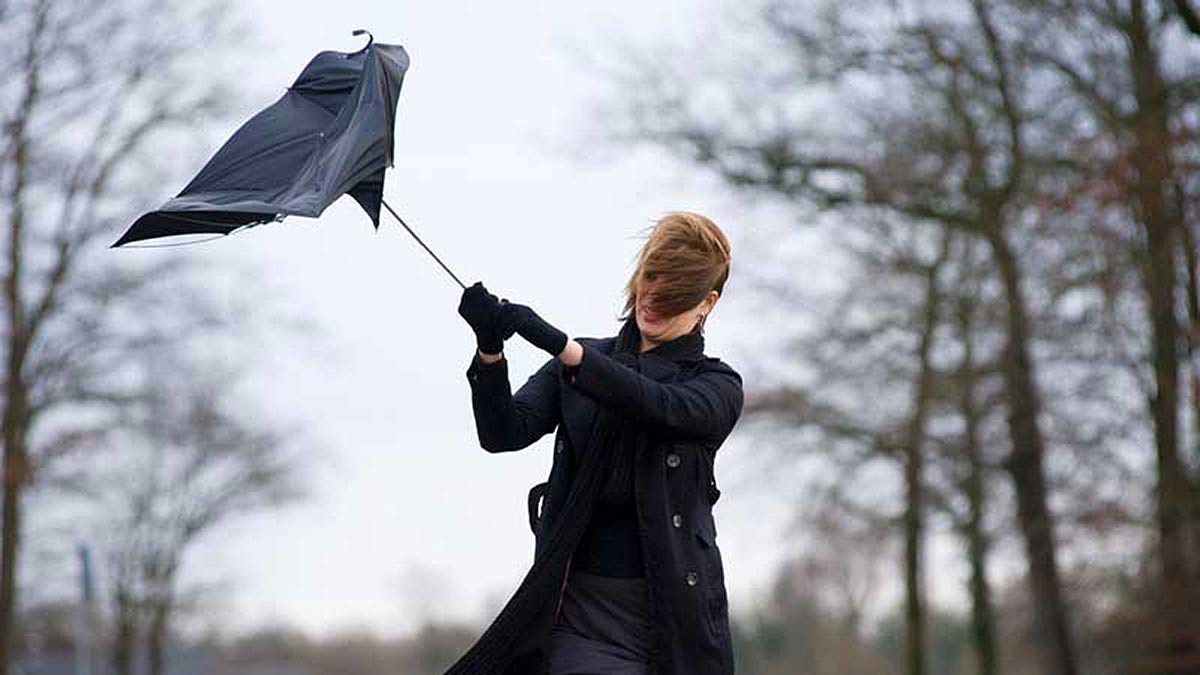 Windy weather slows down activity at South Florida beaches 