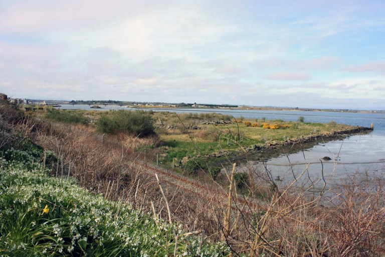 trinity wharf wexford