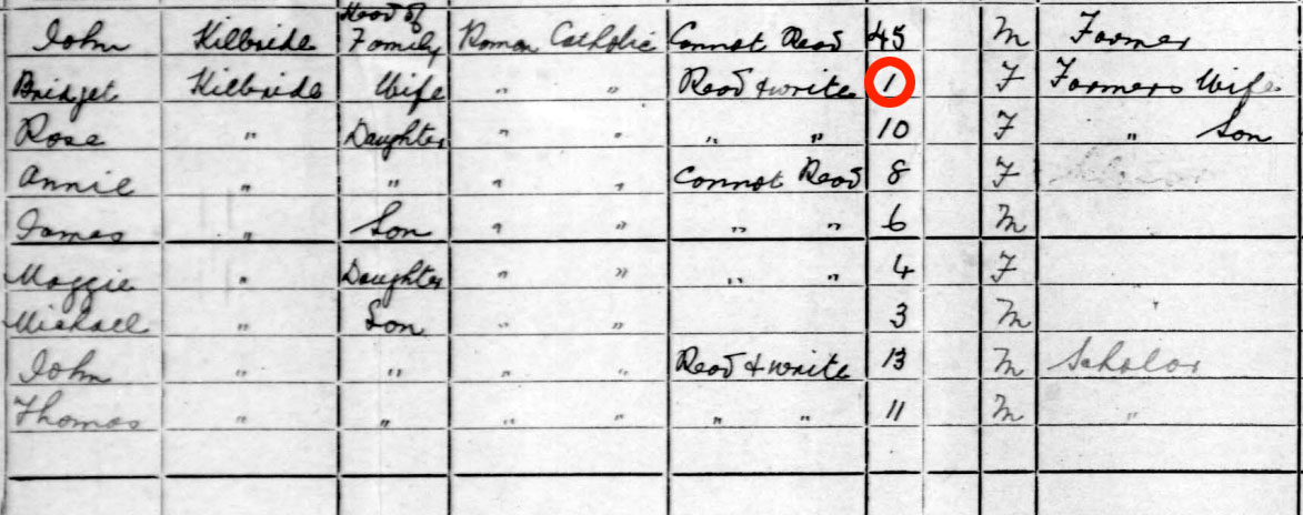 Screenshot of a census form from 1901.