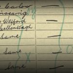 Screenshot of census data.